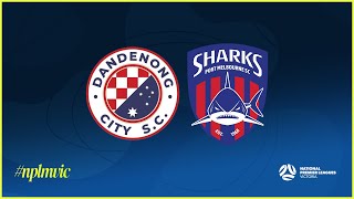 2024 NPLMVIC Round 25 Dandenong City SC v Port Melbourne Sharks SC [upl. by Yleik]