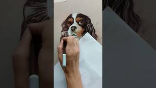 A Pet Portrait in 60 seconds An original dog painting in timelapse [upl. by Aholah]