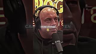 Theo Von amp Joe Rogan Moving Forward From Regret [upl. by Gosnell]