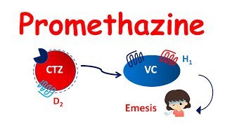 Promethazine tablets  Mechanism Precautions side effects amp uses [upl. by Reisinger]