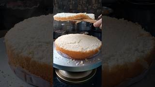 Super Fast Cake 🫨  Urgent Order shortsfeed minivlog smallbusiness myjourney LaZzyBaking [upl. by Otrepur]