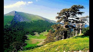 MONTE POLLINO PARCO NAZIONALE [upl. by Shuping]