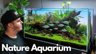 Das 90P NATURE AQUARIUM nach 3 Monaten Diamantregenbogenfische 😍🐟💎 [upl. by Karry]