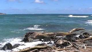 Wailua Bay Kauai  video 1 [upl. by Alvita]