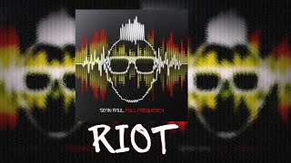 Sean Paul  Riot Ft Damian Marley Lyrics 2014 [upl. by Crotty]