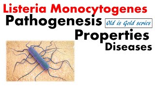 Listeria monocytogenes Microbiology  pathogenesis Motility disease [upl. by Noirred652]