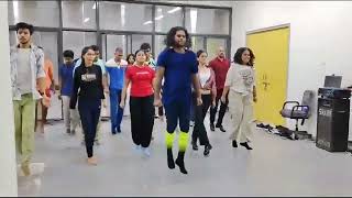 IIT Roorkee  Leo dance academy  Irish dance India [upl. by Honniball]