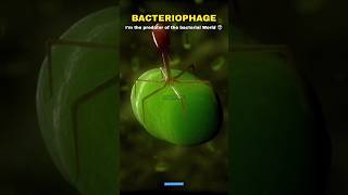 Bacteria vs Virus vs Bacteriophage 🗿👽 shorts scienceofinfinity science [upl. by Fullerton452]