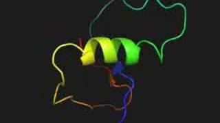 Protein folding simulation from denatured to native state [upl. by Danais]