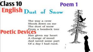 Dust of Snow  Poetic Devices  All Poetic Devices In The Poem Dust of Snow Class 10th CBSE [upl. by Mclain774]