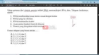 Tahap pertama dari sintesis protein adalah DNA mentranskripsi RNA duta Tahap berikutnya adalah [upl. by Catha451]