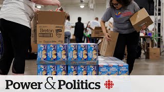 1 in 4 people are experiencing food insecurity Food Banks Canada  Power amp Politics [upl. by Leahcar]