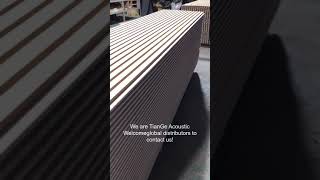 TianGe Acoustic Slatted Wood Panels [upl. by Ariamoy]