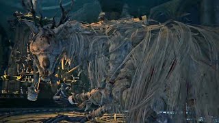 Bloodborne  Vicar Amelia [upl. by Declan882]