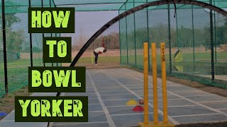 How To Bowl Yorker [upl. by Kcirddec]