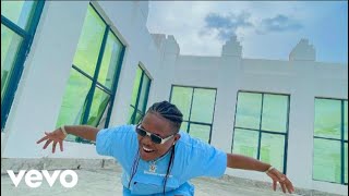 Eltee Skillz  ODG Amapiano Ayibi Yibiyo Official Video Edit [upl. by Antone384]