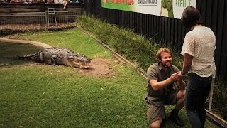 Watch Reptile Handler Propose To Girlfriend In Crocodile Den During Feeding Time [upl. by Brittan]