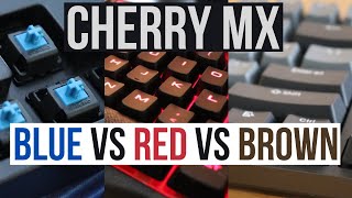 Cherry MX Red vs Brown vs Blue Mechanical Switch Sound Comparison [upl. by Pebrook276]