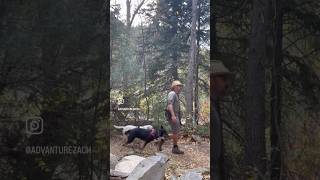 Hikes with dogs colorado fall hiking outdoors [upl. by Ynot]