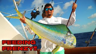 Chub Cay Invitational Tournament  INSANE MAHI FRENZY Winner Takes All [upl. by Rani]