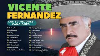 VICENTE FERNANDEZ SUS MEJORES CANCIONES 40 GRANDES EXITOS  MIX VIEJITAS PERO BONITAS [upl. by Aleck644]