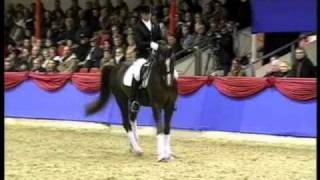 BELISSIMO M Rheinland record dressage stallion wwwequineevolutioncom stallone da monta [upl. by Aihtebat185]