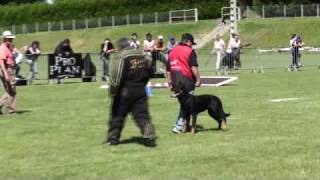 Beauceron Nationale d Elevage 2009 Ring 3 2 partie [upl. by Ddahc]