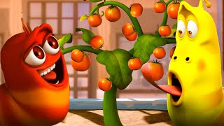 Larva harvests tomatoes 🦗 Larva Island🌷Larva Terbaru 2022🌴 Cartoon Box 🍉Larva Tuba Show [upl. by Nivonod575]