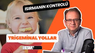 Hikaye Tadında Anatomi Trigeminal Yollar Kornea Refleksi ve Isırmanın Kontrolü [upl. by Ahsilra]