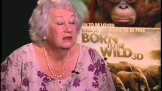 quotBorn to Be Wild 3Dquot Interview with Dr Dame Daphne Sheldrick [upl. by Hui]