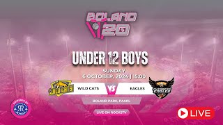 BOLANDT20 UNDER 12 WILD CATS VS EAGLES [upl. by Ern]