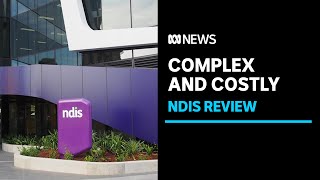 These are the areas the NDIS review is focussing on the most  ABC News [upl. by Ynnahc385]