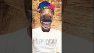 Horse Funny Face Filter 😁 🤣 shorts [upl. by Welcome]