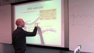 DNA replicatie deel 2 [upl. by Avitzur72]