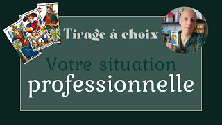 Tirage  Votre Situation Professionnelle à choix [upl. by Terti682]