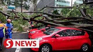 Storm uproots trees in KL several vehicles and house damaged [upl. by Wandy]