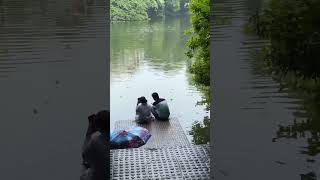 Rupkothar jogote bangla song shorts video chorki networkerbaire viralvideo love viralshorts [upl. by Gretna12]