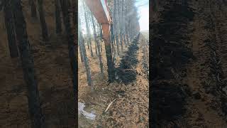 Forest trench digging process Good tools and machinery make work easy [upl. by Civ165]