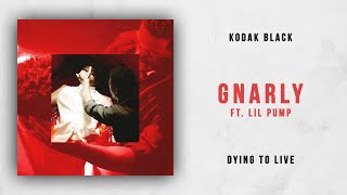 Kodak Black  Gnarly Ft Lil Pump Dying To Live [upl. by Xineohp]