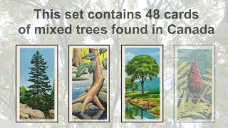 Brooke Bond Tea cards  Trees of North America  1968 [upl. by Okramed]