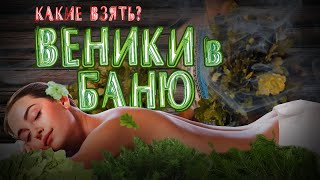 Лучшие ВЕНИКИ ДЛЯ БАНИ Семь банных веников для РУССКОЙ БАНИ Как запарить веник для бани [upl. by Eskil574]