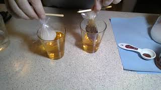 Diffusion Lab with Starch and Iodine 2020 [upl. by Aidole]