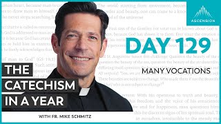 Day 129 Many Vocations — The Catechism in a Year with Fr Mike Schmitz [upl. by Shaper]