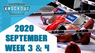 Boxing Knockouts  September 2020 Week 3 amp 4 knockoutzone [upl. by Holton255]