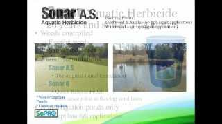 Sonar Aquatic Herbicide [upl. by Otrebire]