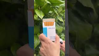 Smoking Cigarettes After Quit Smoking Cigarettes With Honey Rose Blue Non Flavored Herbal Smokes [upl. by Daloris]