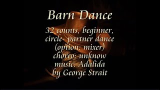 Barn Dance  Line Dance  Partner Dance [upl. by Corder]