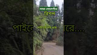 Lava Lolegaon Rishop Kalimpong travel offbeatnorthbengal travelvlog arijitsingh tuktakberano [upl. by Spiro]