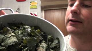 How to make a nettle flan [upl. by Gal]