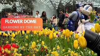 Flower Dome Gardens By the Bay  Singapore  Full Tour [upl. by Atnom]